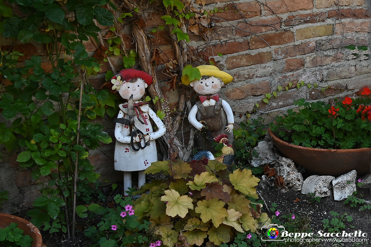 VBS_4470A - Castellinaldo d'Alba.jpg